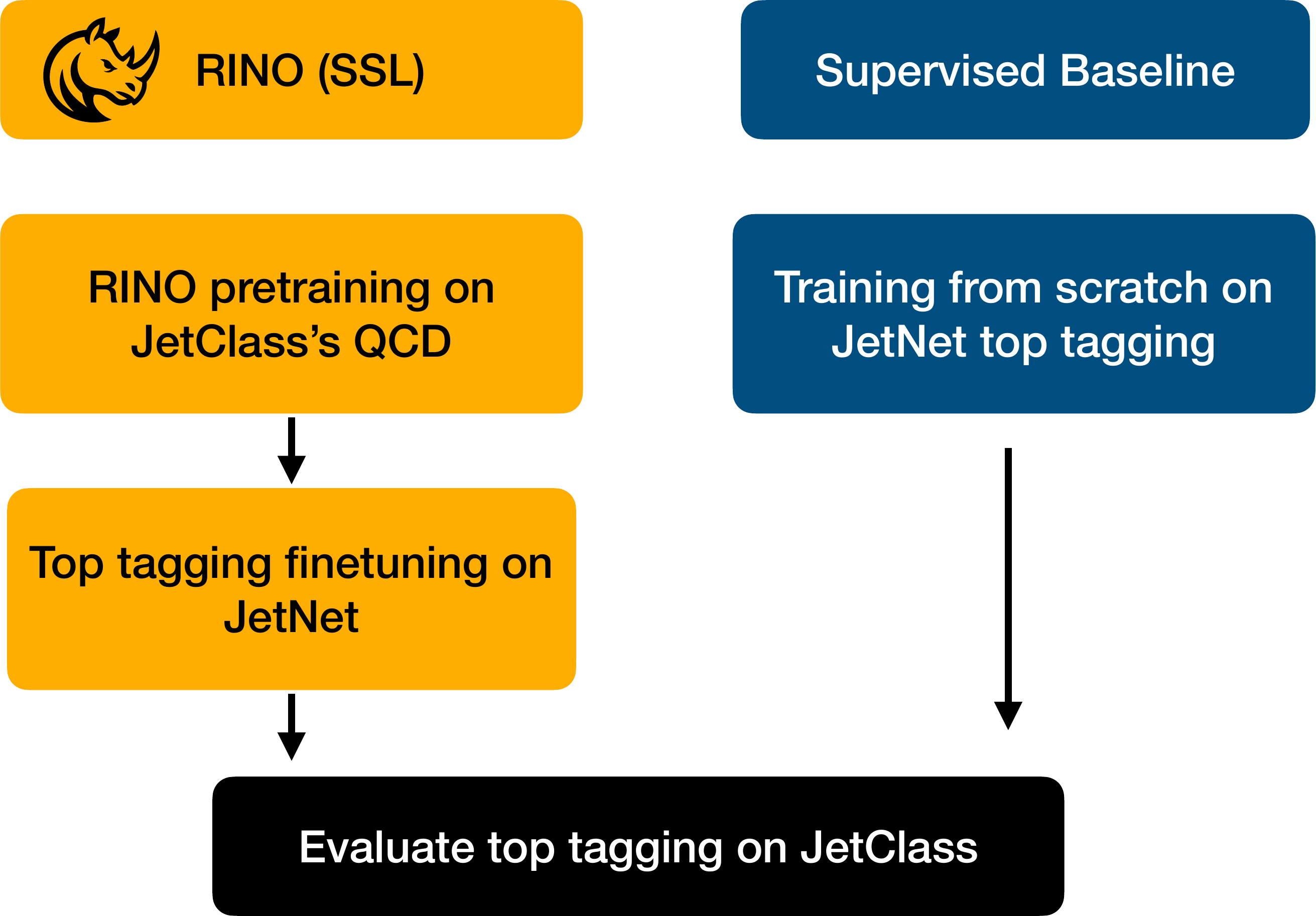 RINO overview